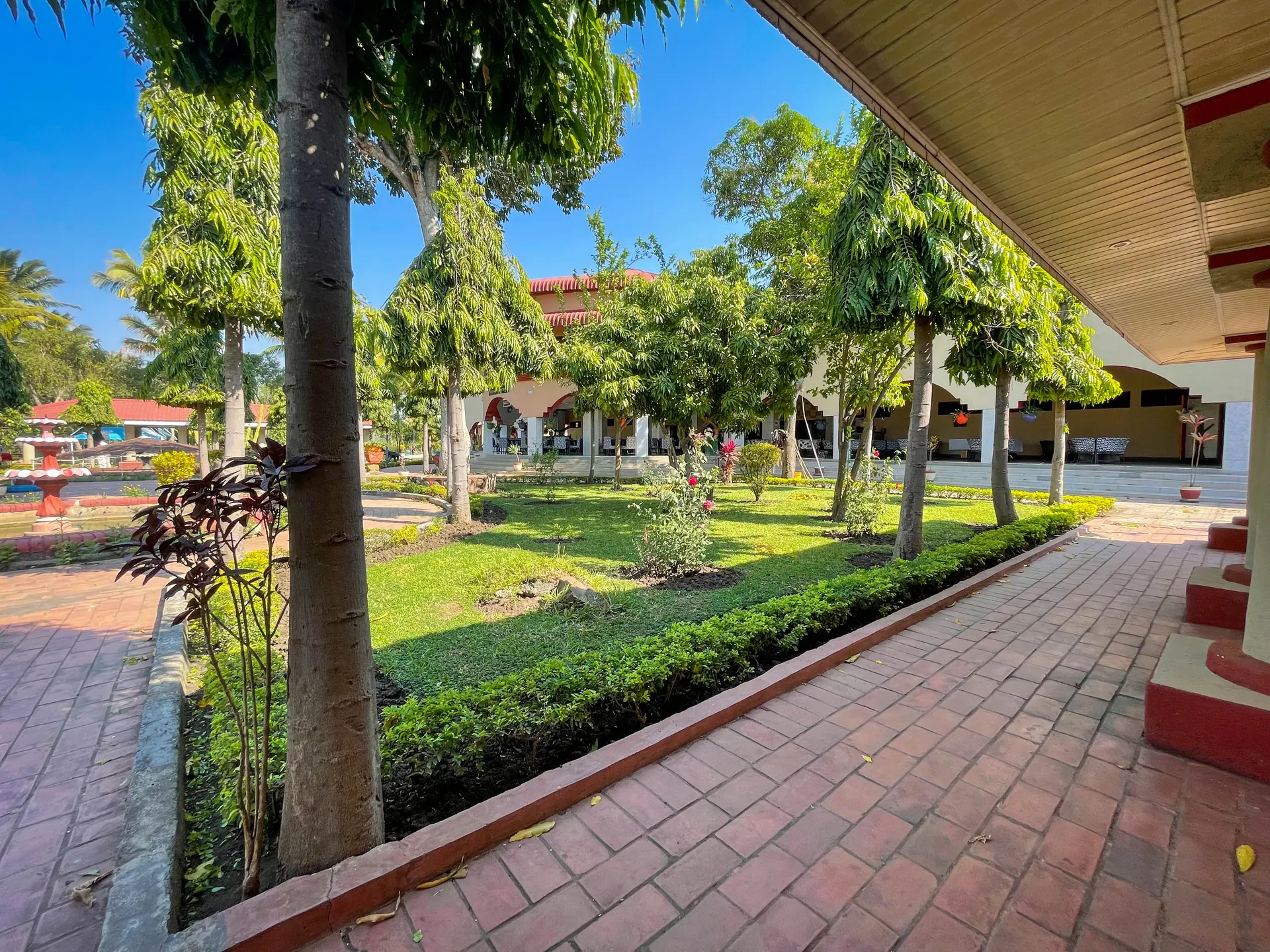 garden